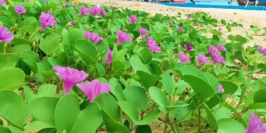 Туристическая компания Coral travel на улице Ворошилова фотография 11