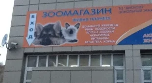 Ветеринарный магазин на улице Ворошилова фотография 2
